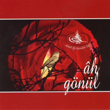 Ah Gönül - Şurkav Çocuk Korosu