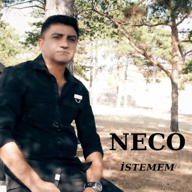 İstemem - Hozan Neco