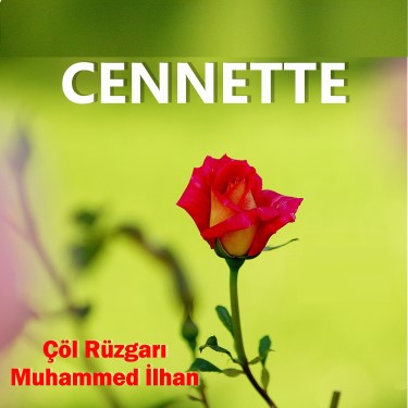 Çöl Rüzgarı - Muhammed İlhan