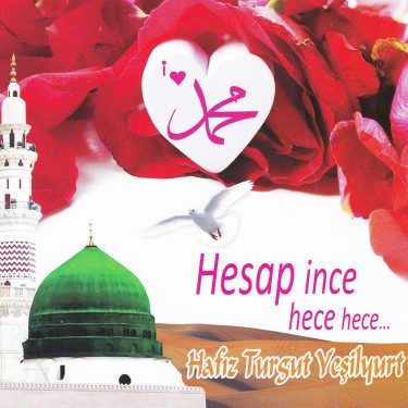 Hesap İnce Hece Hece - Turgut Yeşilyurt