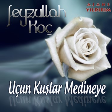 Uçun Kuşlar Medineye - Feyzullah Koç