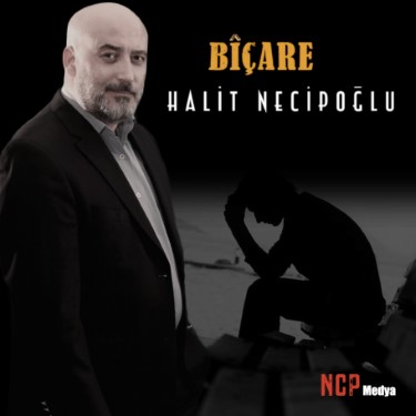 Biçare  - Halit Necipoğlu