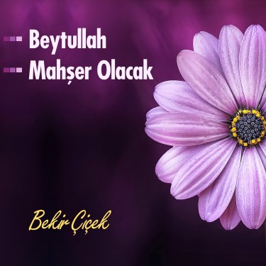 Beytullah / Mahşer Olacak - Bekir Çiçek