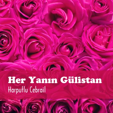 Her Yanın Gülistan - Harputlu Cebrail