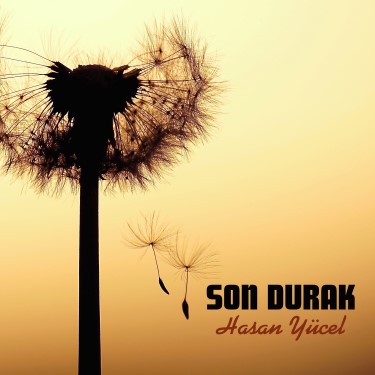 Son Durak - Hasan Yücel