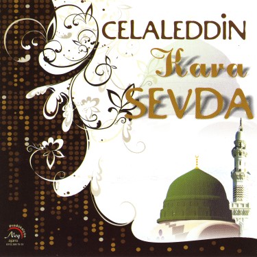 Kara Sevda - Celaleddin Ada