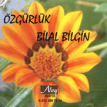 Özgürlük - Bilal Bilgin