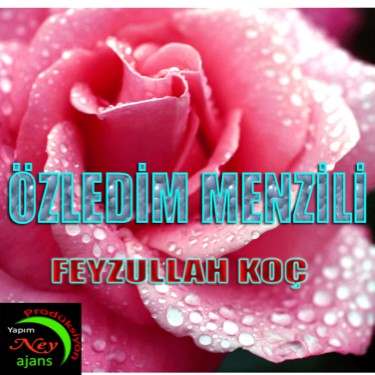 Özledim Menzili - Feyzullah Koç