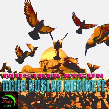 Uçun Kuşlar Medineye - Mustafa Aygün