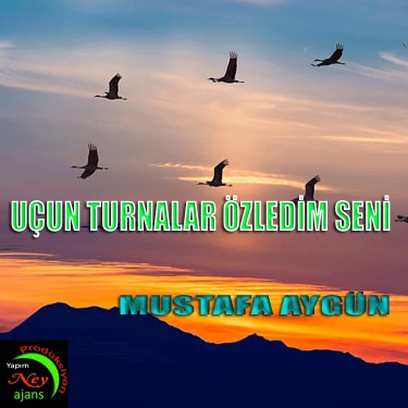 Uçun Turnalar - Özledim Seni - Mustafa Aygün