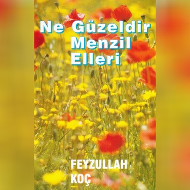 Ne Güzeldir Menzil Elleri - Feyzullah Koç