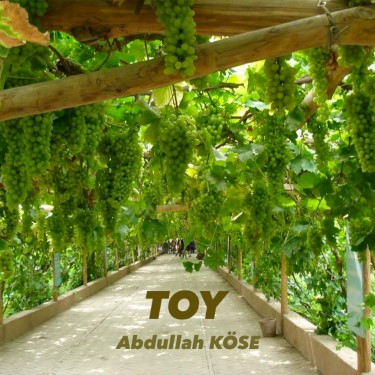 Toy - Abdullah Köse