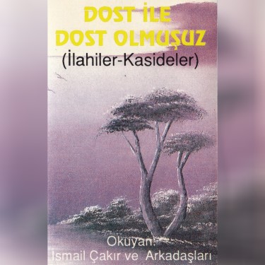 Dost İle Dost Olmuşuz - İsmail Çakır