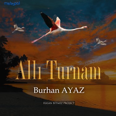 Allı Turnam Bizim Ele Varırsan - Hasan Bitmez - Burhan Ayaz
