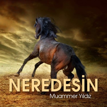 Neredesin - Muammer Yıldız