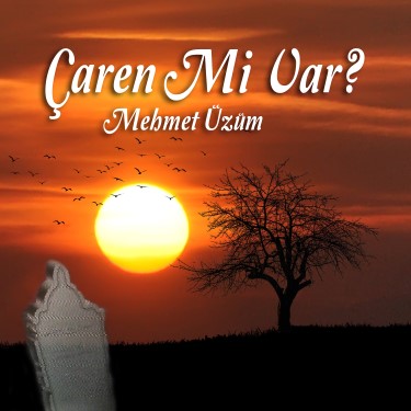 Çaren Mi Var? - Mehmet Üzüm