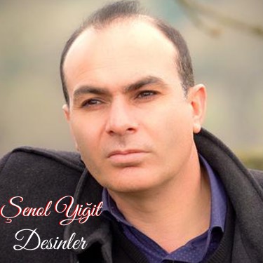 Desinler - Şenol Yiğit