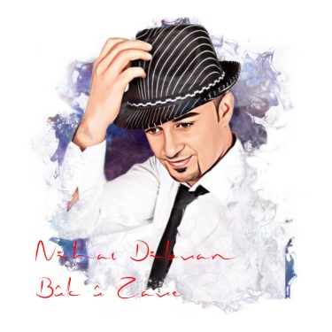 Buk U Zave - Nihat Dilovan