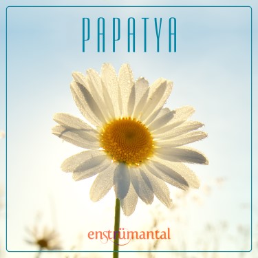 Papatya - Kemal Faruk Altınkurt