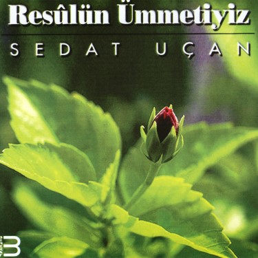 Resulün Ümmetiyiz - Sedat Uçan