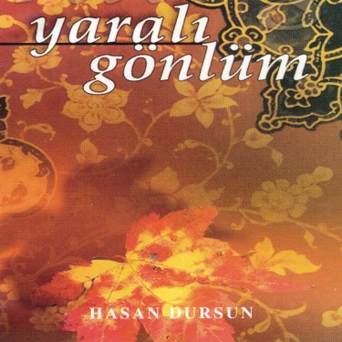 Yaralı Gönlüm - Hasan Dursun