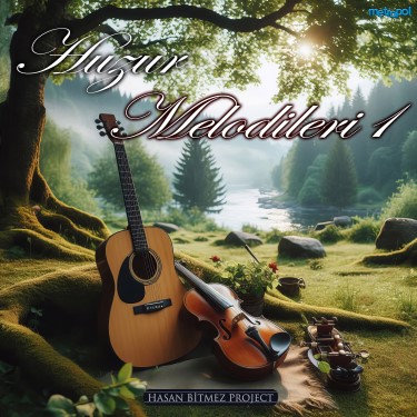 Huzur Melodileri 1 - Hasan Bitmez