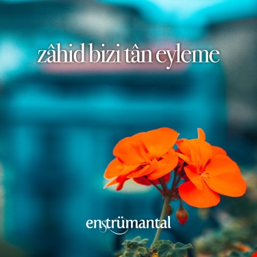 Zahid Bizi Tan Eyleme - Kemal Faruk Altınkurt