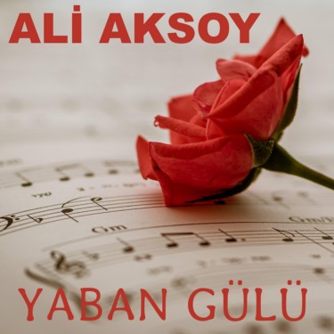 Yaban Gülü - Ali Aksoy