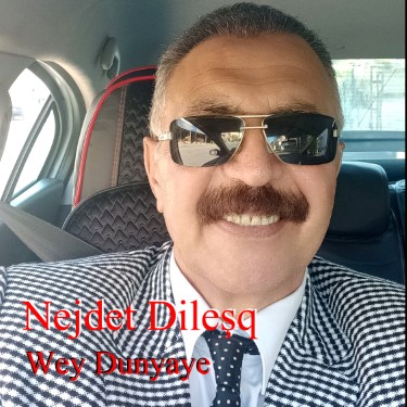 Wey Dunyaye - Nejdet Dileşq