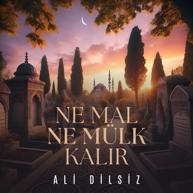 Ne Mal Kalır Ne Mülk Kalır - Ali Dilsiz